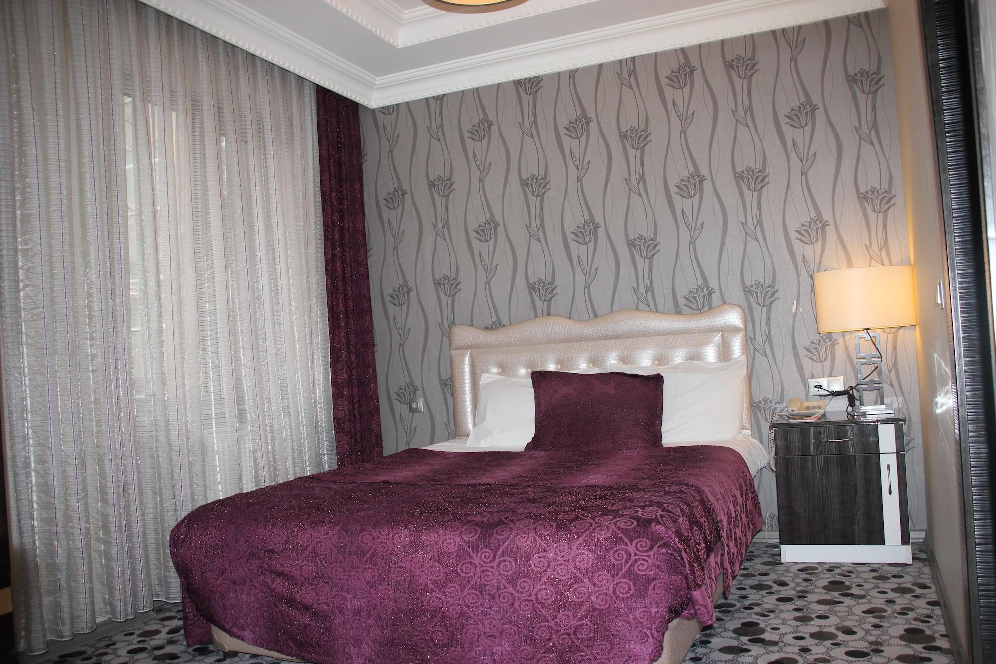 Ankara Risiss Hotel エクステリア 写真