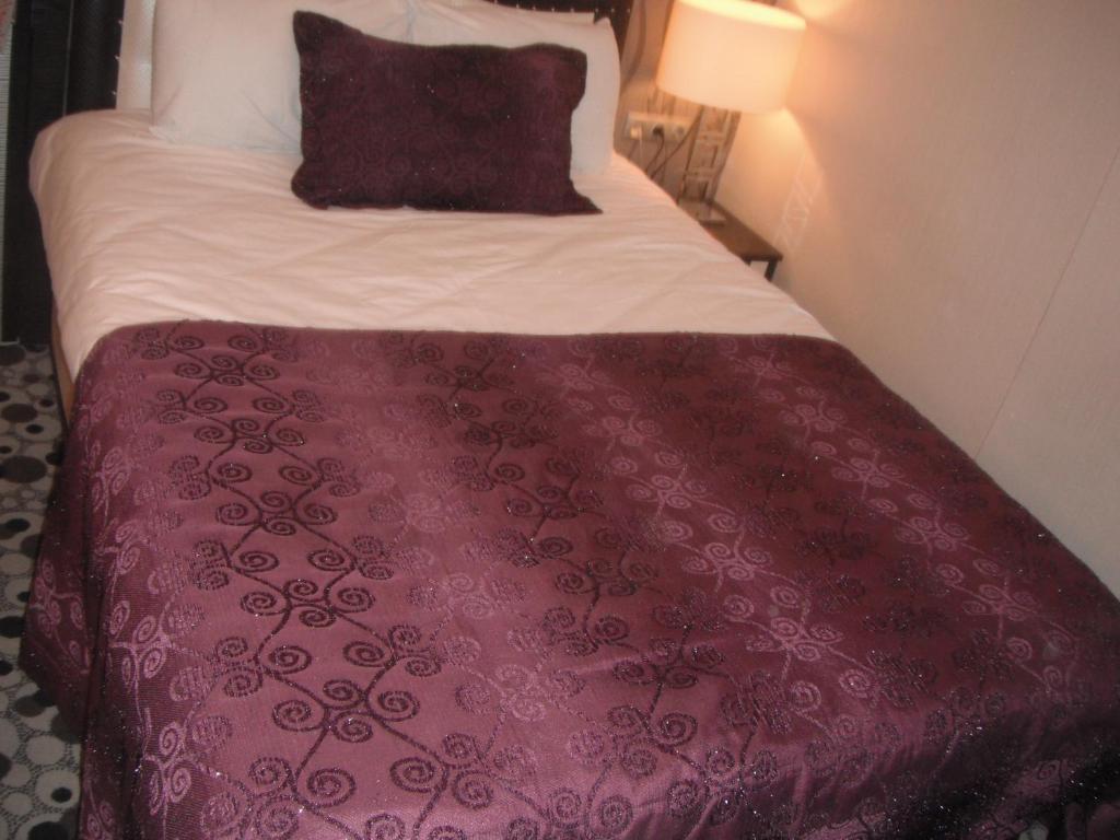 Ankara Risiss Hotel 部屋 写真